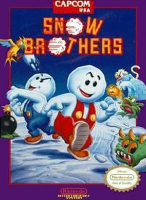 Snow Bros Rom For Nintendo